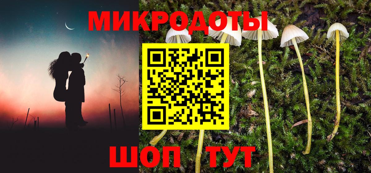 Псилоцибиновые грибы MAGIC MUSHROOMS  Вход с VPN  Будённовск  Галлюциногенные грибы MAGIC MUSHROOMS 
